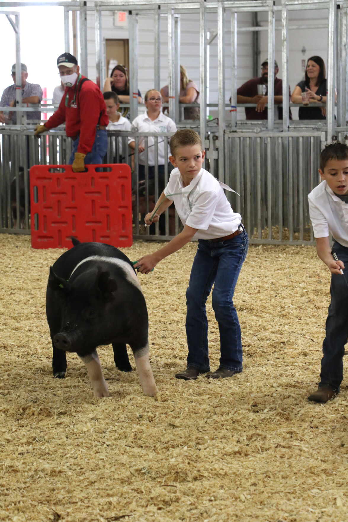 PHOTOS: Pig Showmanship